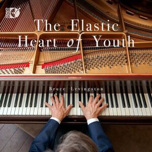 Bruce Levingston - The Elastic Heart of Youth  CD